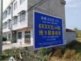 佛坪墙体广告质量分析