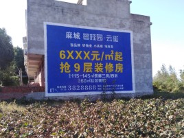 佛坪品牌公司青睐的墙体广告