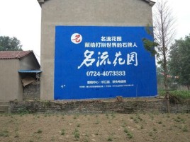 佛坪农村墙体广告的长尾效应
